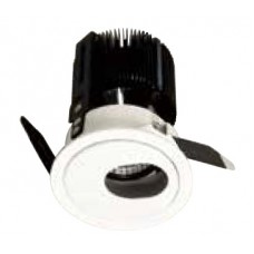 LED Down Light